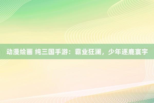 动漫绘画 纯三国手游：霸业狂澜，少年逐鹿寰宇