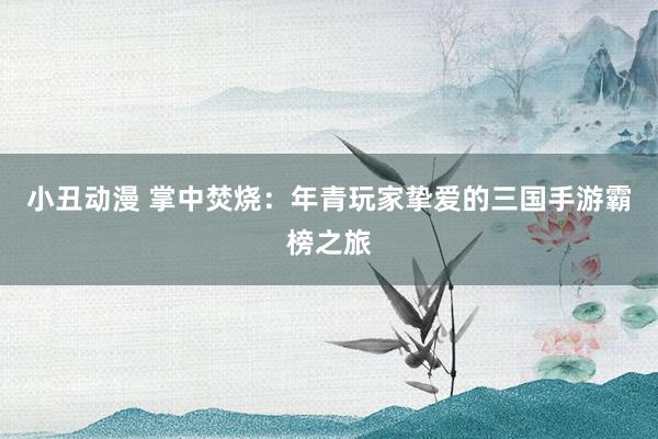 小丑动漫 掌中焚烧：年青玩家挚爱的三国手游霸榜之旅