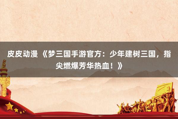 皮皮动漫 《梦三国手游官方：少年建树三国，指尖燃爆芳华热血！》