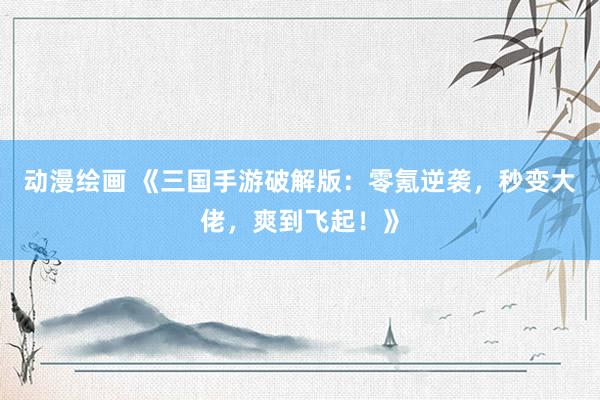 动漫绘画 《三国手游破解版：零氪逆袭，秒变大佬，爽到飞起！》