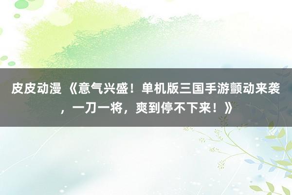 皮皮动漫 《意气兴盛！单机版三国手游颤动来袭，一刀一将，爽到停不下来！》