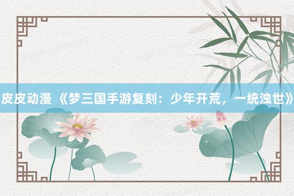 皮皮动漫 《梦三国手游复刻：少年开荒，一统浊世》