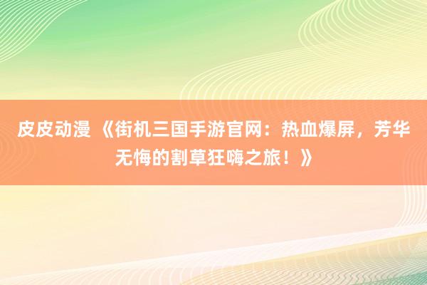 皮皮动漫 《街机三国手游官网：热血爆屏，芳华无悔的割草狂嗨之旅！》