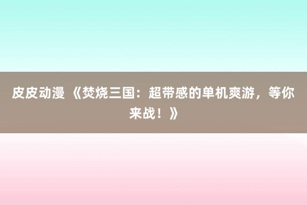 皮皮动漫 《焚烧三国：超带感的单机爽游，等你来战！》