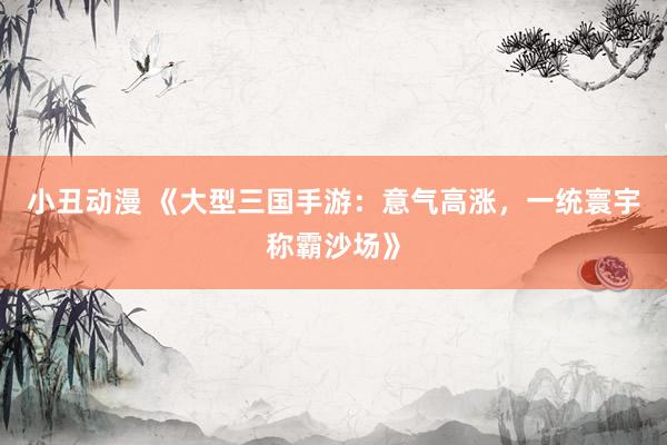 小丑动漫 《大型三国手游：意气高涨，一统寰宇称霸沙场》