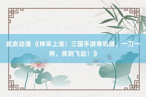 皮皮动漫 《神采上涨！三国手游单机版，一刀一将，爽到飞起！》